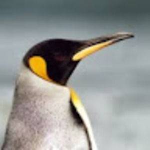 Meet your Posher, Danny